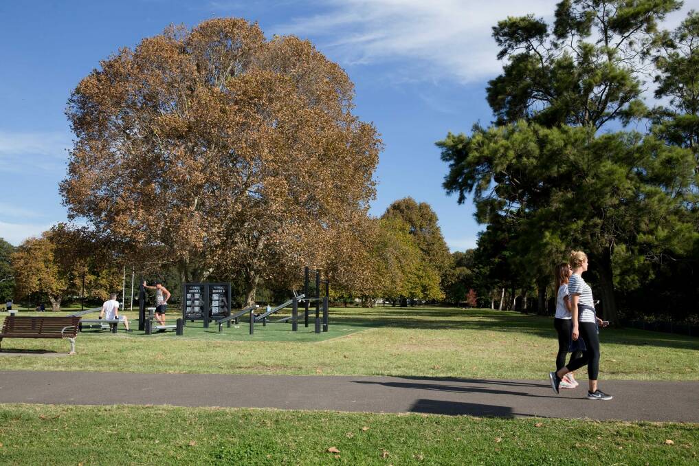 Residents fear skate facilities at Rushcutters Bay Park would disturb the peace. Photo: Henry Zwartz