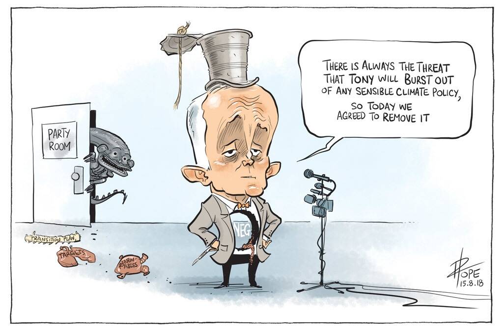 The Canberra Times editorial cartoon for Wednesday, August 15, 2018. Photo: David Pope