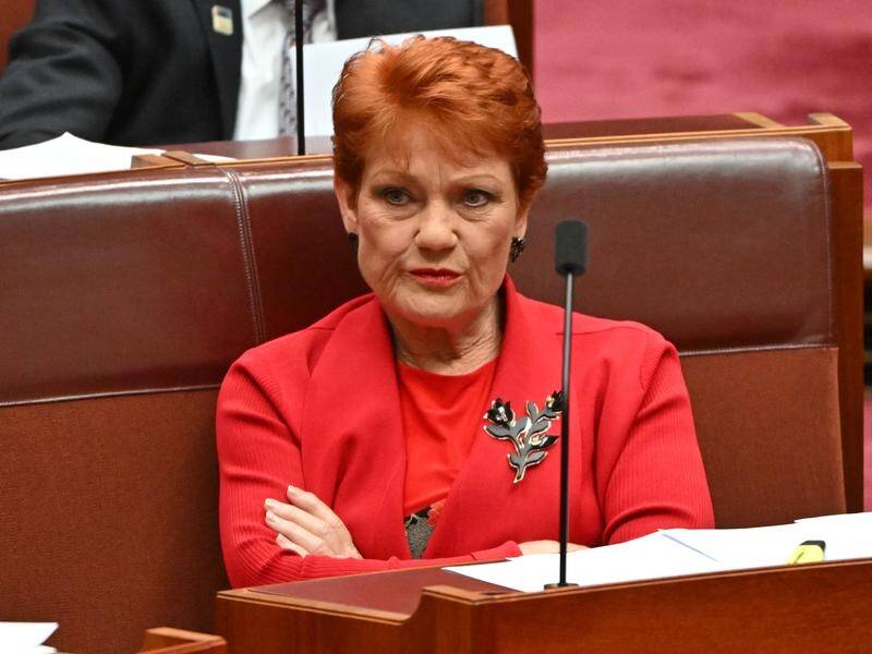 Pauline Hanson has been accused in the upper house of making racist remarks against another senator. (Mick Tsikas/AAP PHOTOS)