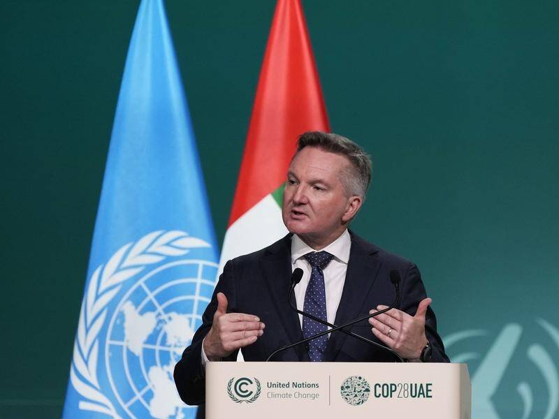 Climate Change Minister Chris Bowen says the COP28 summit was one of the most significant. (AP PHOTO)