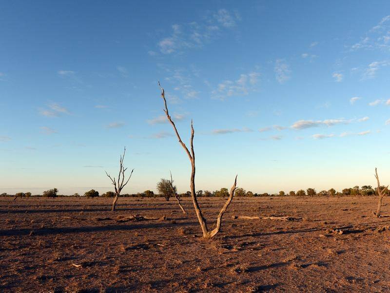 The CSIRO and weather bureau warn the frequency of extreme events such as droughts is growing.