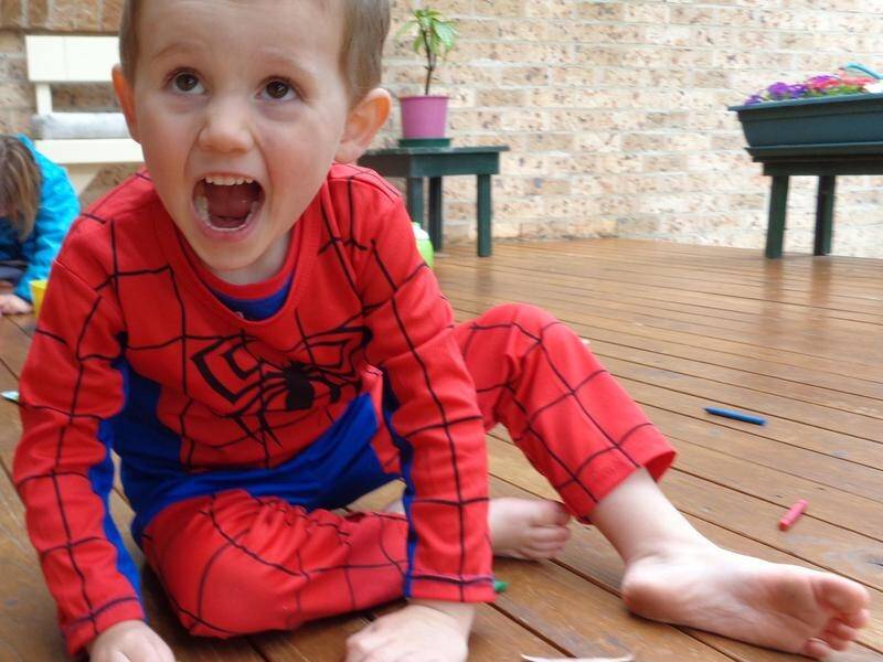 William Tyrrell went missing from a home in Kendall in September 2014.