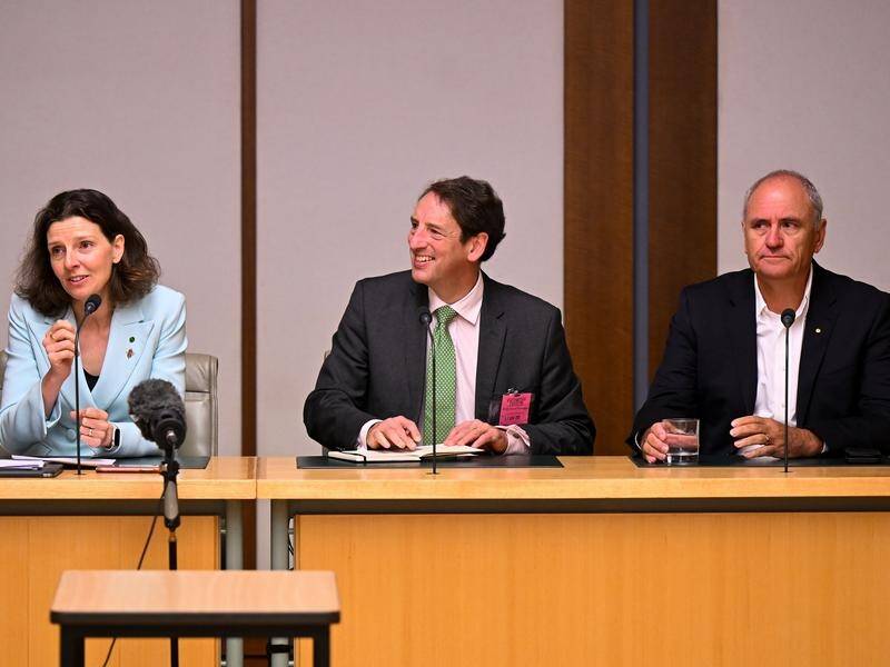 Allegra Spender, John Daley and Ken Henry have attended the tax roundtable event in Canberra. (Lukas Coch/AAP PHOTOS)