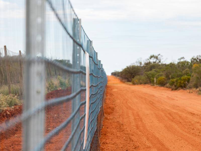 The NSW Border Wild Dog Fence is being extended to more than 1000km.