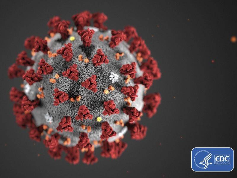 This illustration from the CDC shows the 2019 Novel Coronavirus (2019-nCoV).