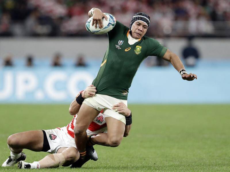 Elusive winger Cheslin Kolbe returns from injury for South Africa in the Rugby World Cup final.