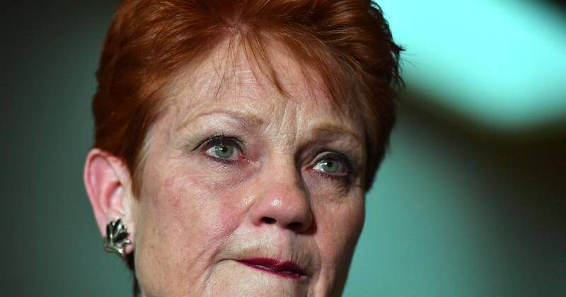 Pauline Hanson lashes family court 'liars'