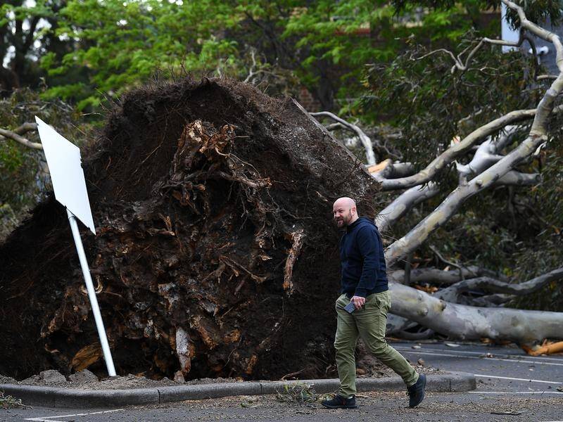 Wild storms have left hundreds of thousands of homes without power across Victoria and SA.