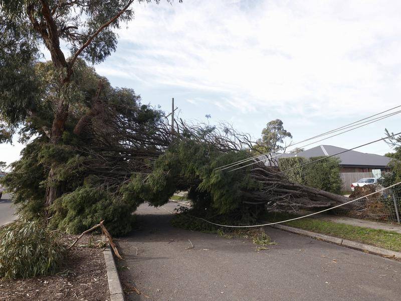 Victoria's recent storm outages may have left up to 60 communities unable to make emergency calls.