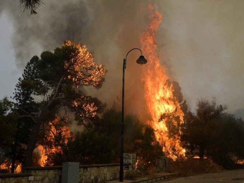 Lebanon has asked for international help as forest fires continued to spread across the country.