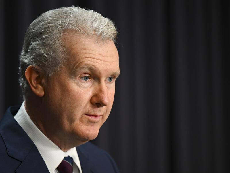 Employment Minister Tony Burke wants the Australian Building and Construction Commission abolished. (Lukas Coch/AAP PHOTOS)