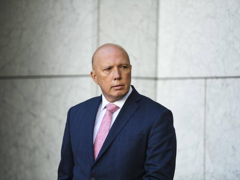 Peter Dutton says major crimes are going unnoticed because Queensland police are manning the border.