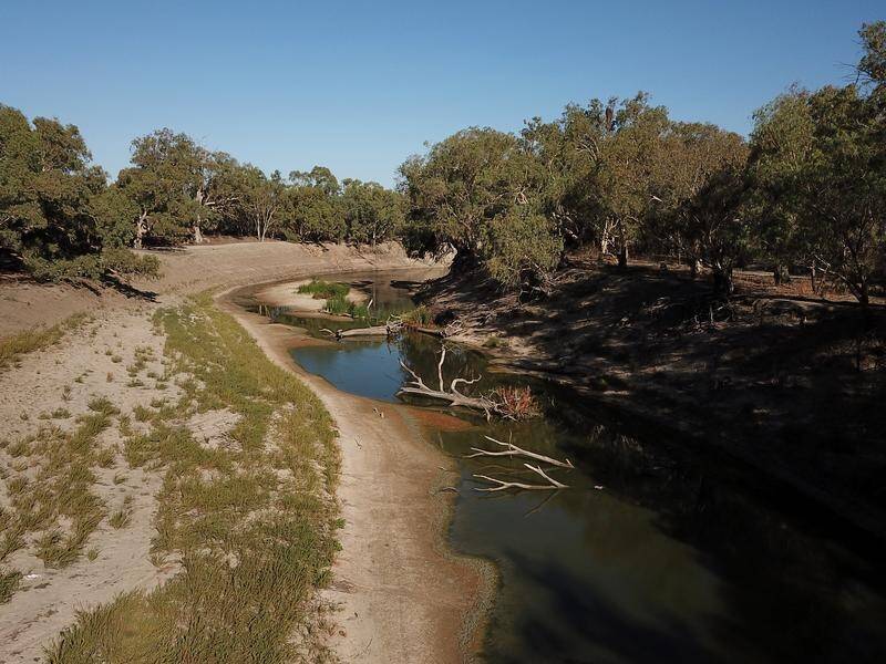 The federal government wants to make changes to the Murray-Darling Basin Plan. (Dean Lewins/AAP PHOTOS)