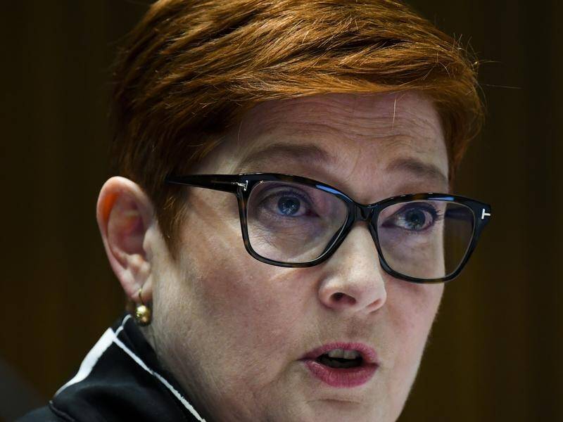 Foreign Minister Marise Payne says sanctions on Myanmar would not advance Australia's interests.