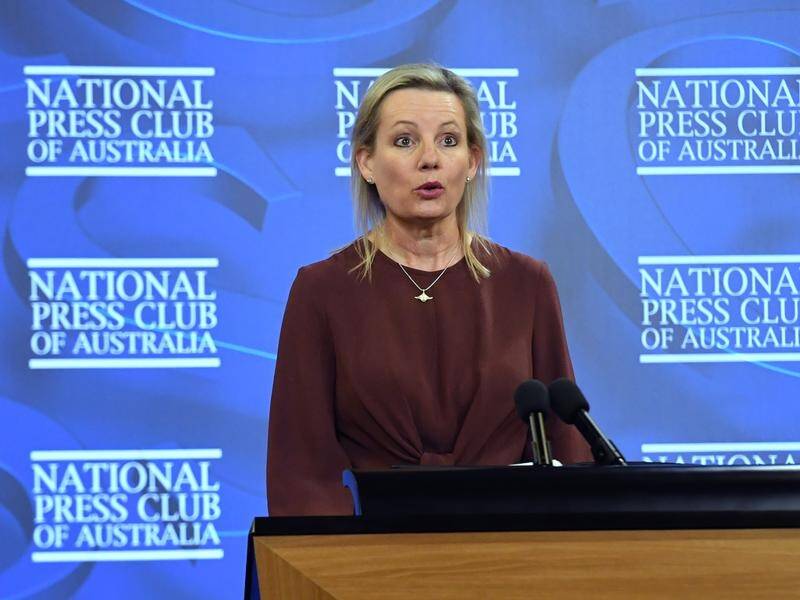 Sussan Ley has acknowledged a need for a phased plan to bring in new environment laws.