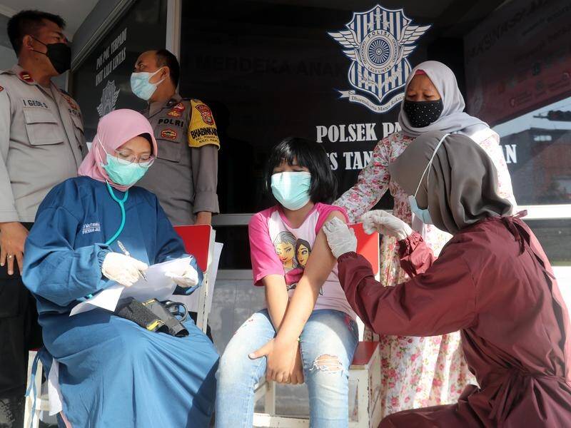 A survey shows more than 85 per cent of Indonesians have antibodies against COVID-19.