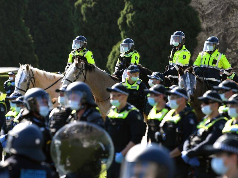 An anti-lockdown protester has admitted assaulting two officers and hitting a police horse's head.