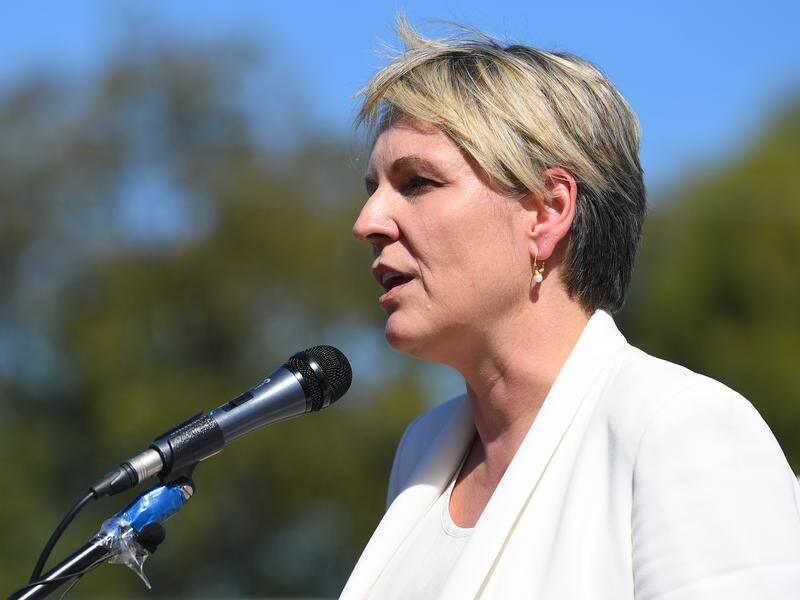Tanya Plibersek says federal Labor would provide $77 million to help fund relationship education.