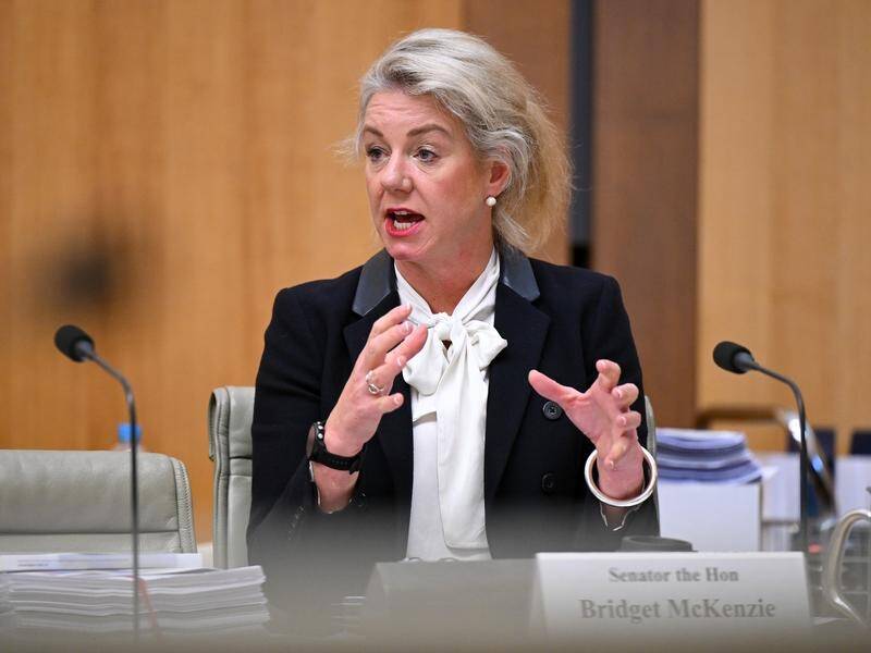 Senator Bridget McKenzie quizzed a department executive on rumours of a so-called 'hotties' list. (Lukas Coch/AAP PHOTOS)