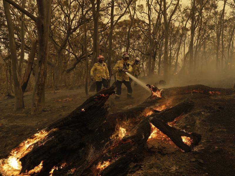 Very high fire danger is forecast for multiple NSW regions, including greater Sydney.