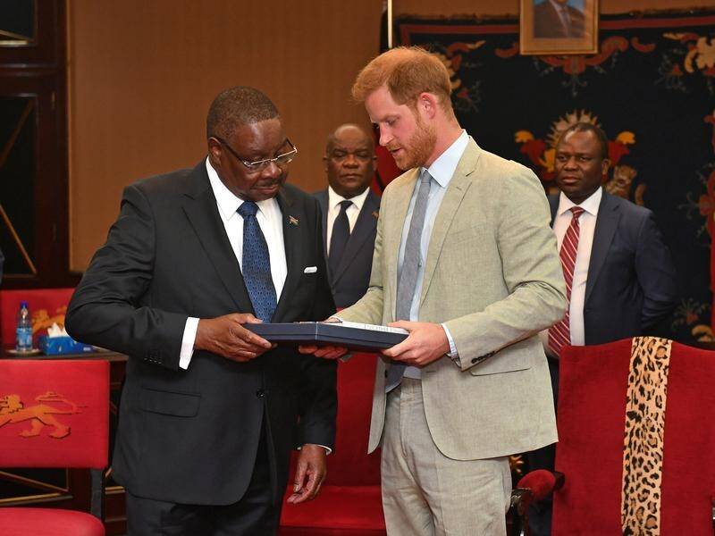 Prince Harry has had talks with Malawi's President Peter Mutharika during his tour of Africa.