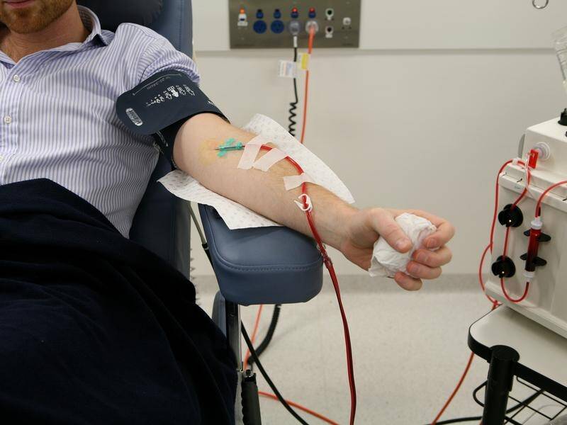 Australians are urged to donate blood amid a potential shortage during the cold and flu season. (Angela Brkic/AAP PHOTOS)