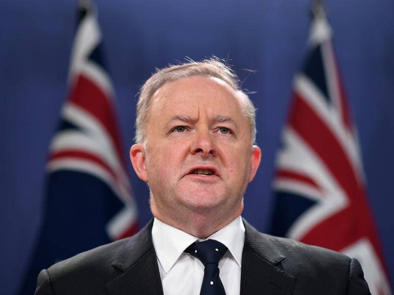 Labor leader Anthony Albanese says Bill Shorten looks forward to his new role "with enthusiasm".