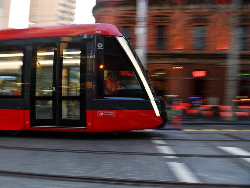 The NSW Transport minister has urged people not to be 'phone zombies' when walking near light rail.