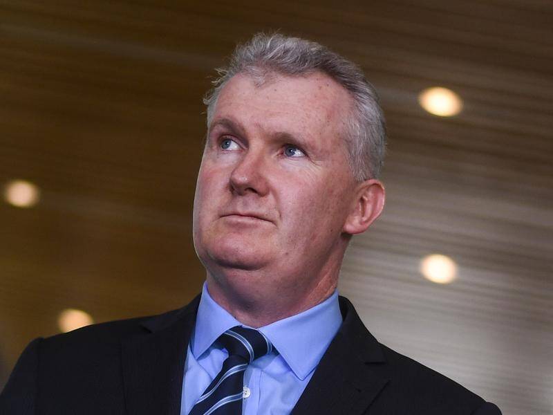 Opposition environment spokesman Tony Burke has likened climate change deniers to anti-vaxxers.