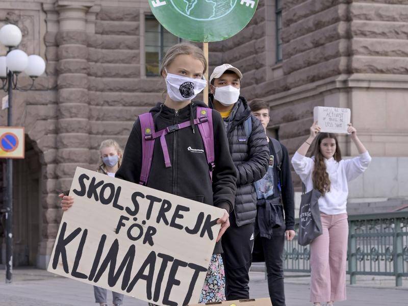 Climate activist Greta Thunberg protests at the Swedish Parliament as part of a global action day.