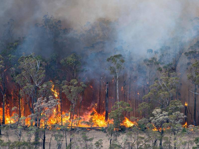 There has been one death and three others are missing in bushfires in eastern Victoria.