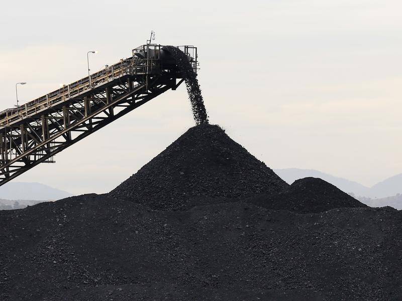 Utilities and a steelmaker will be able to import Aussie coal, people familiar with the matter say. (Nikki Short/AAP PHOTOS)