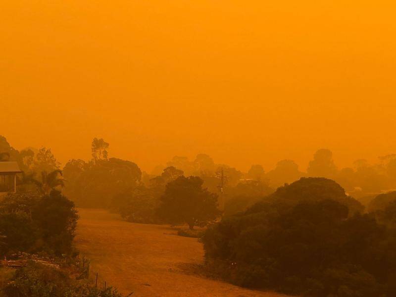 Professor John Quiggin says the bushfires cost to the economy could add up to more than $100 billion