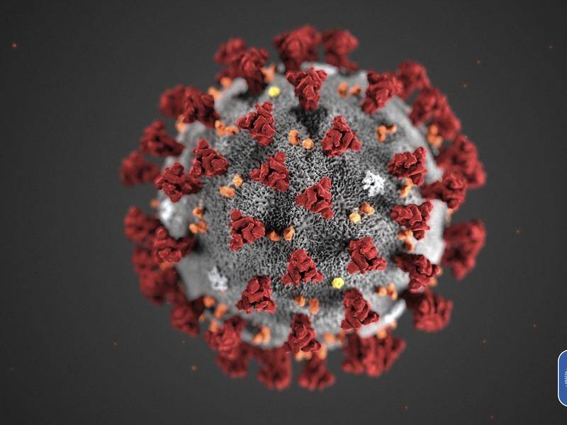 The World Health Organisation says the new coronavirus has been named Covid-19.
