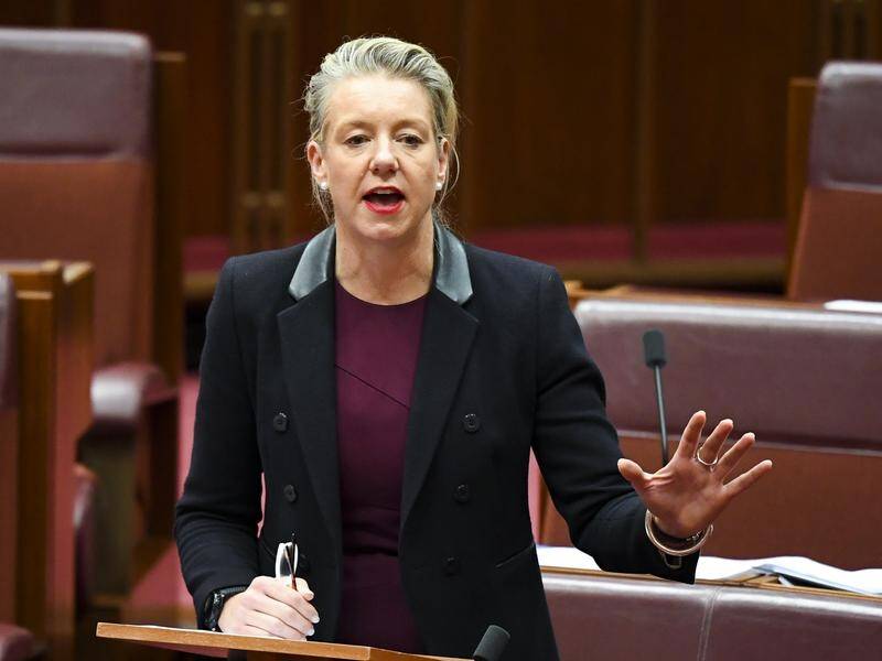 Nationals senator Bridget McKenzie says the debate on targets is about regions, not climate change.