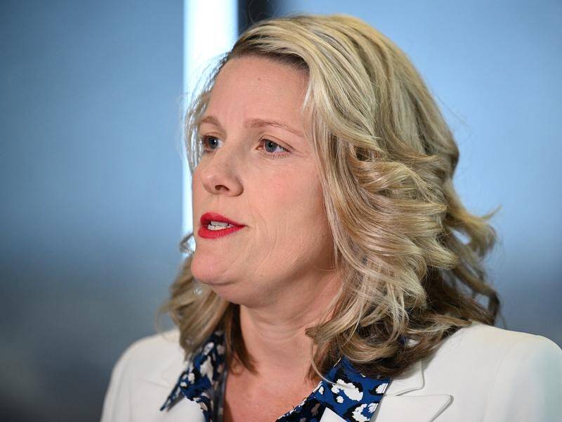 Cyber Security Minister Clare O'Neil says Australia has to 'muscle up' to deal with hacking threats. (James Ross/AAP PHOTOS)