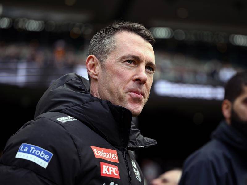 Collingwood coach Craig McRae has been studying up on the Swans during his enforced time at home. (Joel Carrett/AAP PHOTOS)