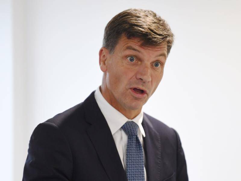 Angus Taylor is being accused of failing to disclose a business interest when he entered parliament.
