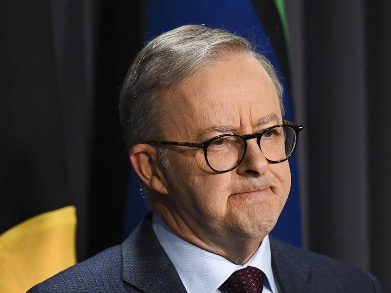 More needs to be done to process all the skilled worker visas, Prime Minister Anthony Albanese says. (Lukas Coch/AAP PHOTOS)