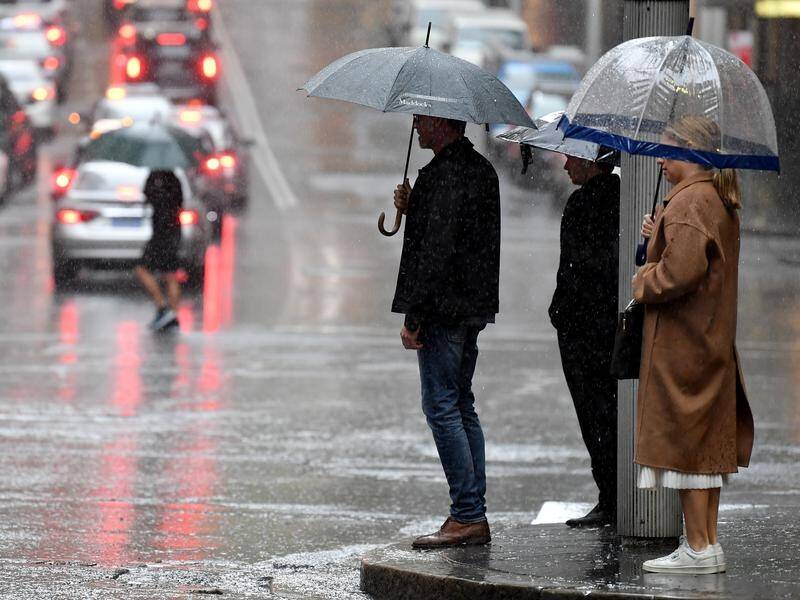 The Bureau of Meteorology says a warmer climate is to blame for Sydney's wettest year on record. (Bianca De Marchi/AAP PHOTOS)