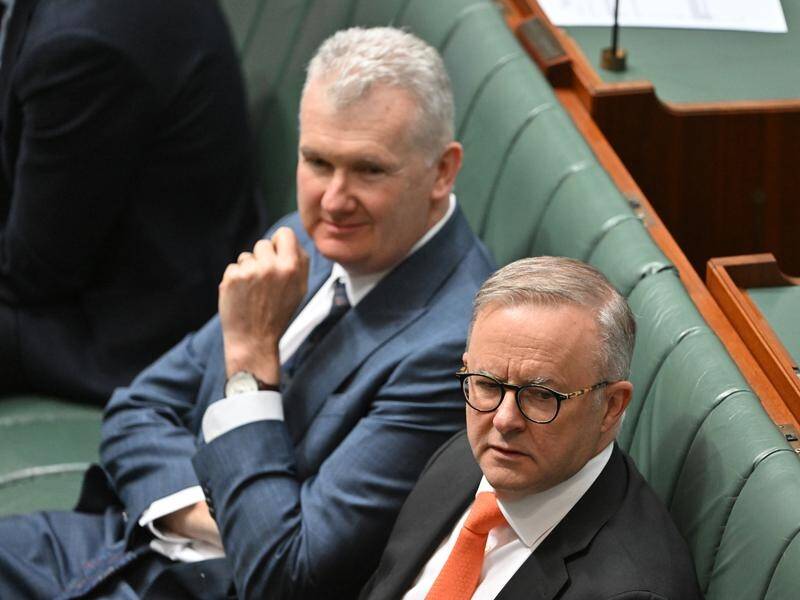 Workplace Relations Minister Tony Burke (left) says he is confident Labor's IR changes will pass. (Mick Tsikas/AAP PHOTOS)