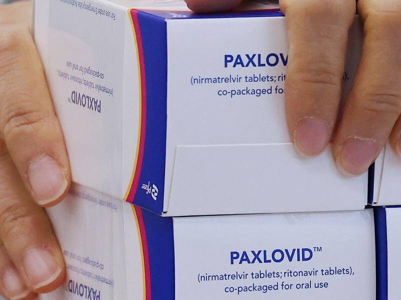 The federal government has secured 500,000 courses of Paxlovid and 300,000 courses of Lagevrio.