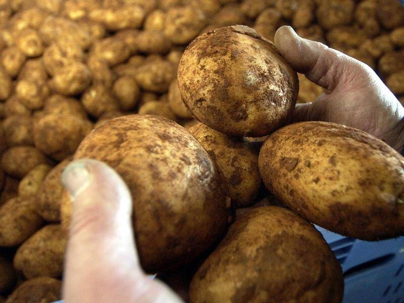 The humble potato: Australian farmers grew enough of them last year to fill the MCG.