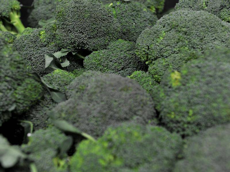 A study suggests children don't like broccoli because of bacteria in their mouths.