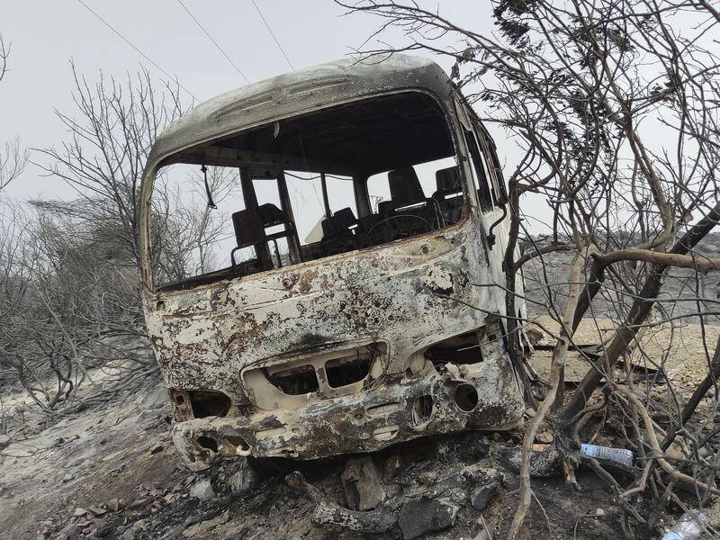 A family of five are among the 37 victims of fierce wildfires in eastern Algeria. (AP PHOTO)