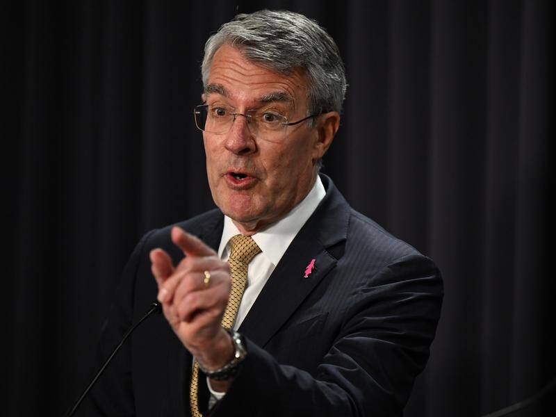 Attorney-General Mark Dreyfus says there is no place for Nazi symbols of hate in Australia. (Lukas Coch/AAP PHOTOS)