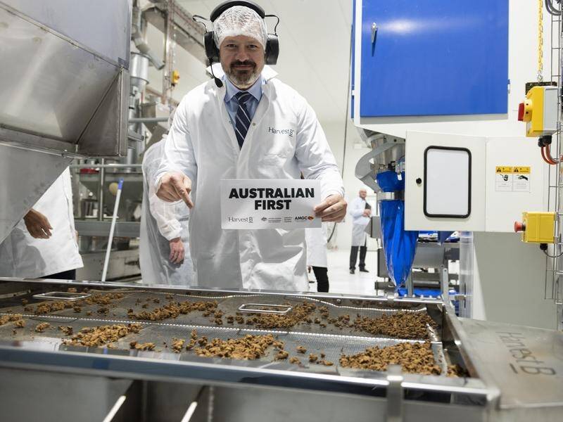 Plant-based meat has been on the rise, with minister Ed Husic opening food tech company Harvest B. (PR HANDOUT IMAGE PHOTO)