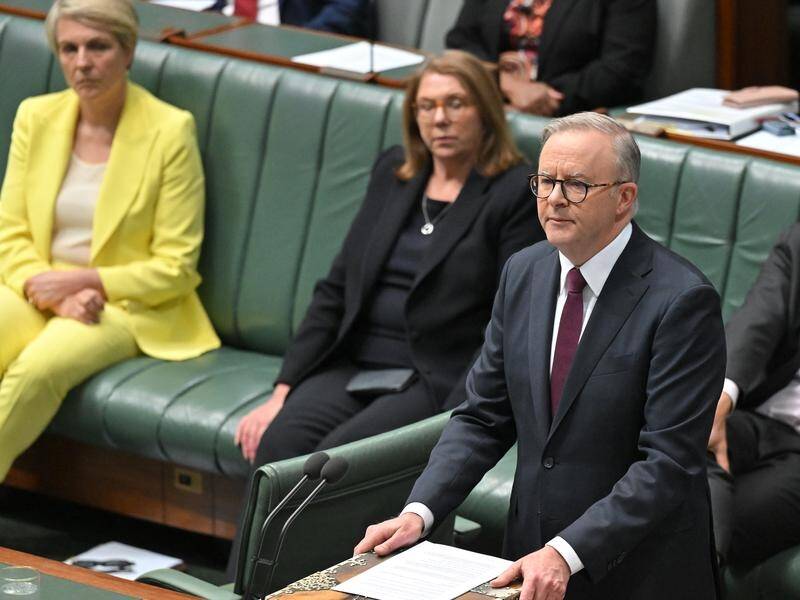 Anthony Albanese described Hamas as an enemy of Israel and all peace-loving Palestinian people. (Mick Tsikas/AAP PHOTOS)
