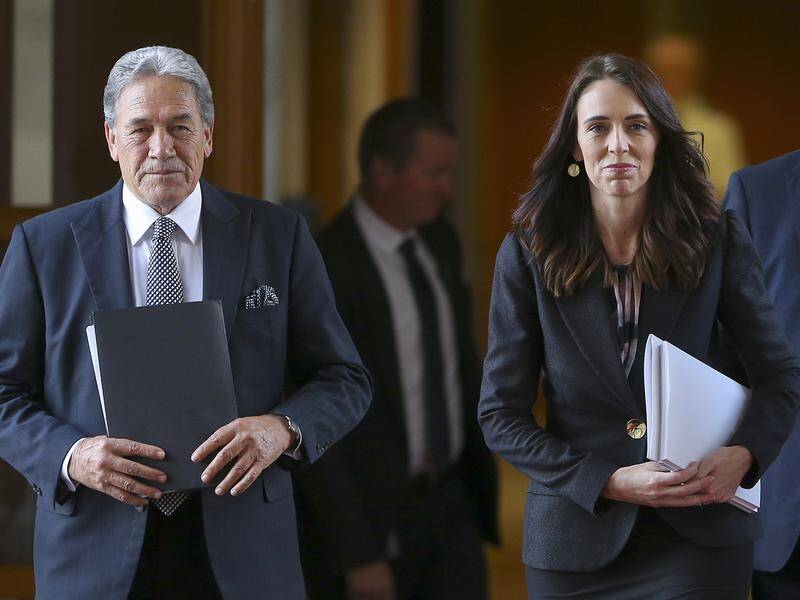 Former NZ deputy prime minister Winston Peters has criticised PM Jacinda Ardern's government.