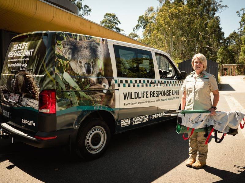 The new response vehicle is already transporting injured wildlife to Healesville's animal hospital.